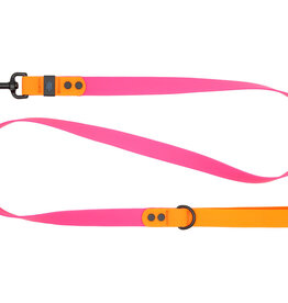 RC Pets RC Pets Waterproof Leash 3/4"x5' Azalea/Orange