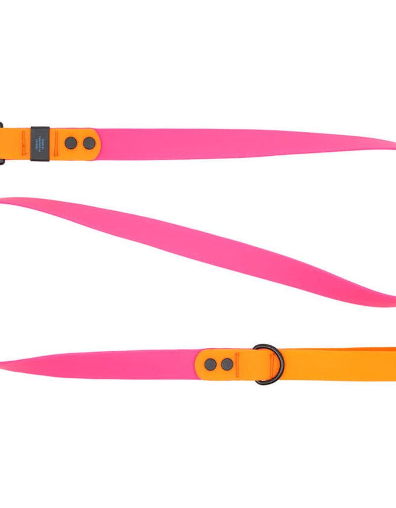RC Pets RC Pets Waterproof Leash 3/4"x5' Azalea/Orange