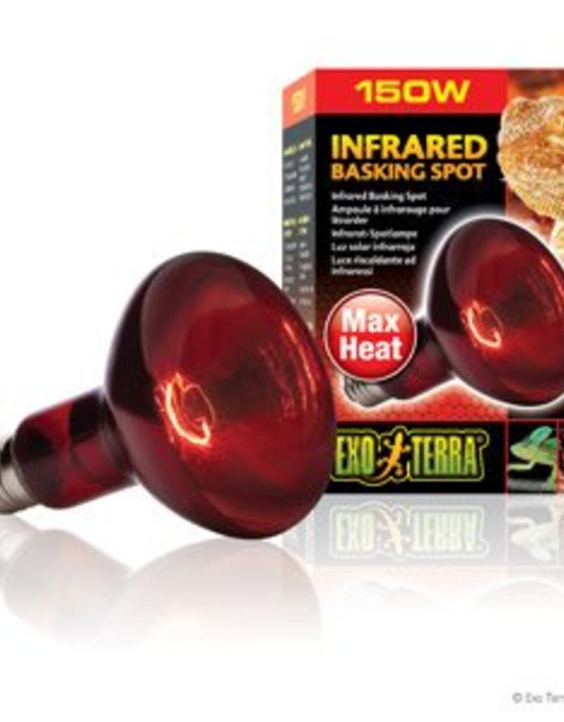 Exo Terra Exo Terra Infrared Basking Spot - R30 / 150W