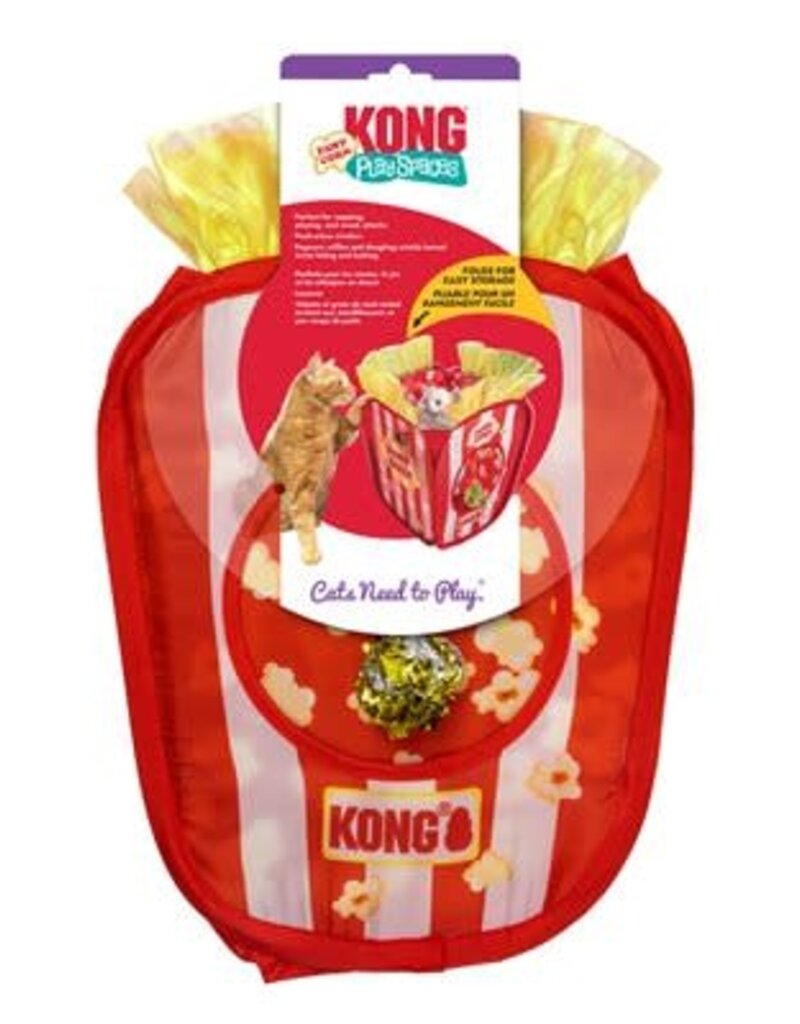 Kong Kong Cat Play Spaces - Pawpcorn