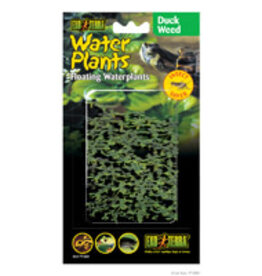 Exo Terra Exo Terra Floating Water Plant - Duck Weed