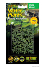 Exo Terra Exo Terra Floating Water Plant - Duck Weed
