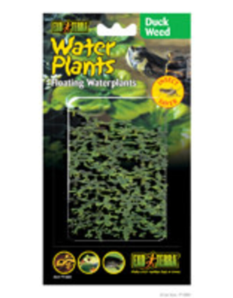 Exo Terra Exo Terra Floating Water Plant - Duck Weed