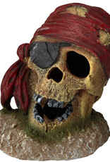 Aqua Della Aqua Della - Pirate Skull with Eye Patch