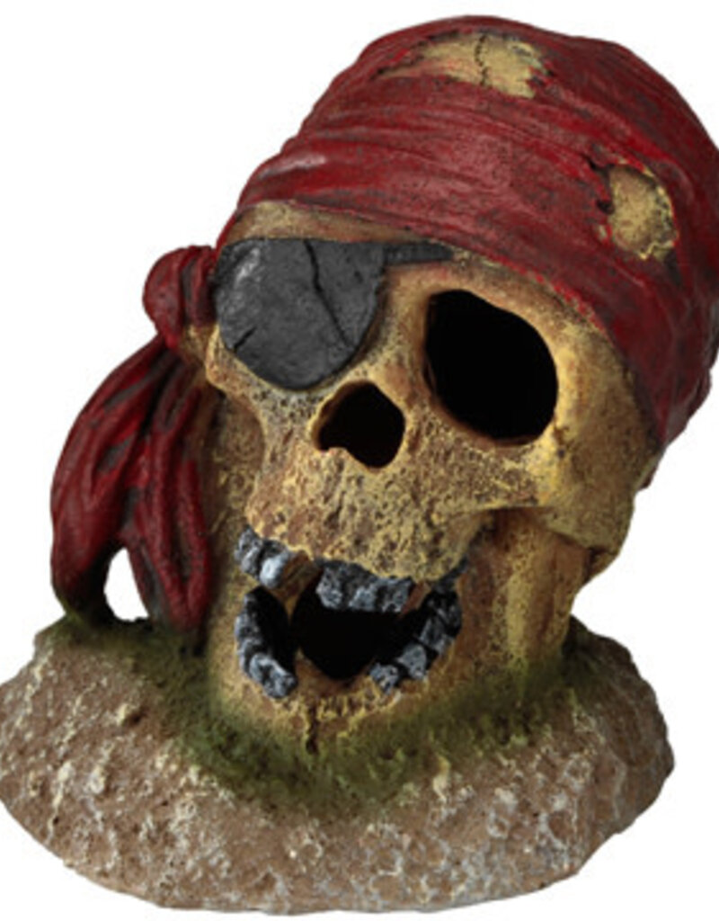 Aqua Della Aqua Della - Pirate Skull with Eye Patch