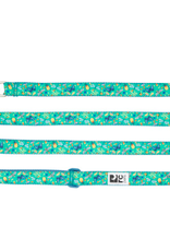 RC Pets RC Pets Leash 1"x6' Wonderland