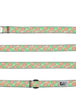 RC Pets RC Pets Leash 3/4"x6' Mahalo