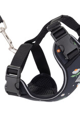 RC Pets RC Pets Adventure Kitty Harness S Daisies