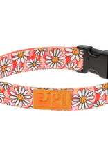RC Pets RC Pets Eco Clip Collar M Daisy Joy