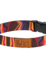 RC Pets RC Pets Eco Clip Collar L Cosmic Aura