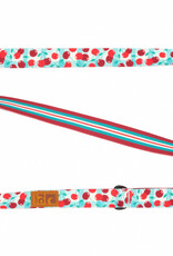 RC Pets RC Pets Eco Leash 1"x5' Cherry Picnic