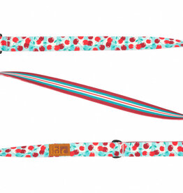 RC Pets RC Pets Eco Leash 1"x5' Cherry Picnic