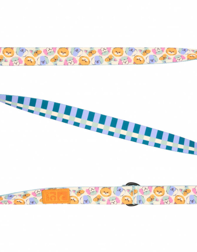RC Pets RC Pets Eco Leash 1"x5' Pup-Moji