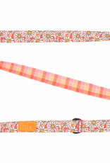 RC Pets RC Pets Eco Leash 1"x5' Daisy Joy