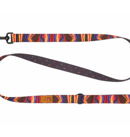 RC Pets RC Pets Eco Leash 3/4"x5' Cosmic Aura