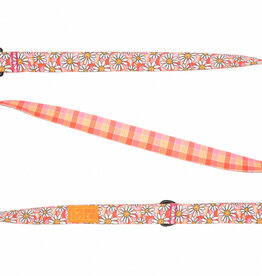 RC Pets RC Pets Eco Leash 3/4"x5' Daisy Joy