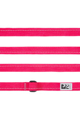 RC Pets RC Pets Primary Leash 1"x4' Azalea