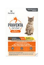Parapet Parapet Flea Praventa for Small Cats - 3 Tubes