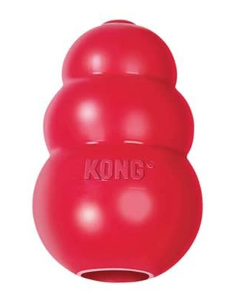 Kong Kong Classic - Xsmall