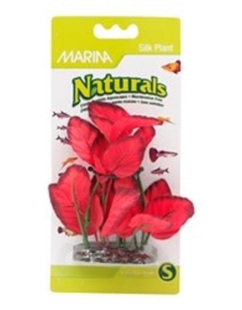 Marina Marina Naturals Red Foreground Silk Plant - 12.5 - 15 cm (5-6in)
