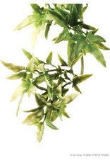 Exo Terra Exo Terra Jungle Plant - Croton - Medium