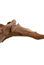 Underwater Treasures Underwater Treasures Kapas Root - Small