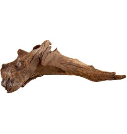 Underwater Treasures Underwater Treasures Kapas Root - Small