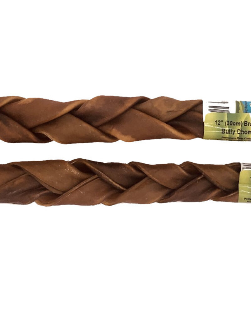 Nature's Own Dog Chews Bulk - Braided Bully Chomp 12"