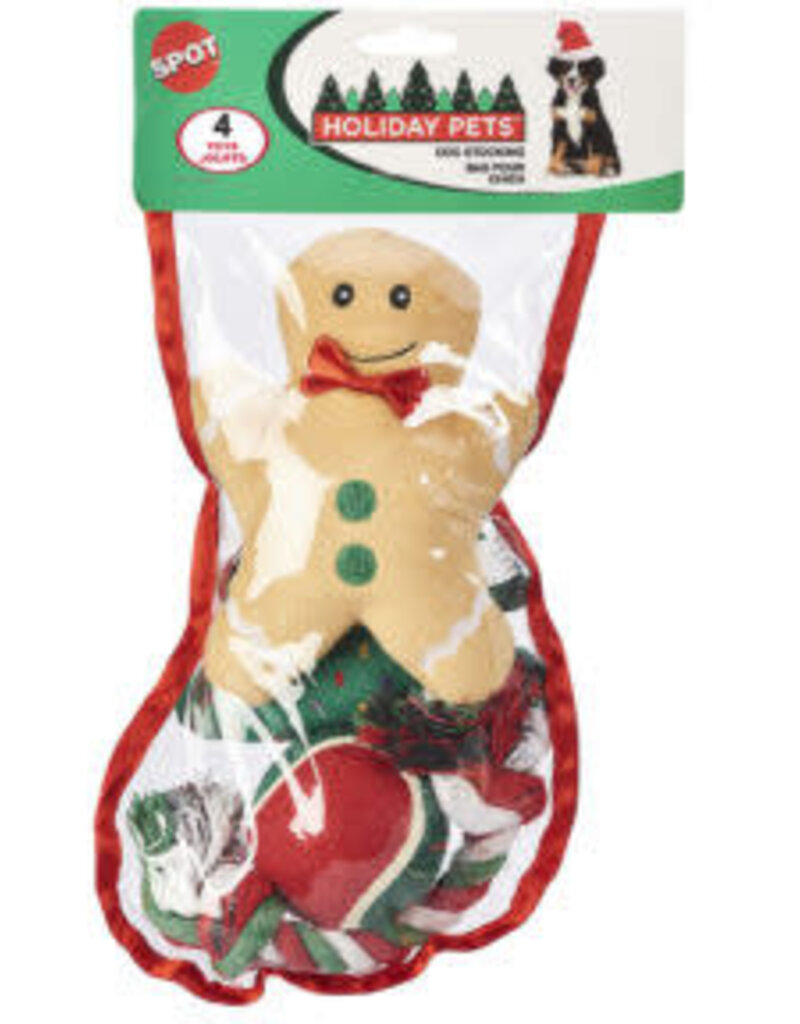 Spot Spot Holiday Stocking Assorted Dog Toys - Medium 4pc.