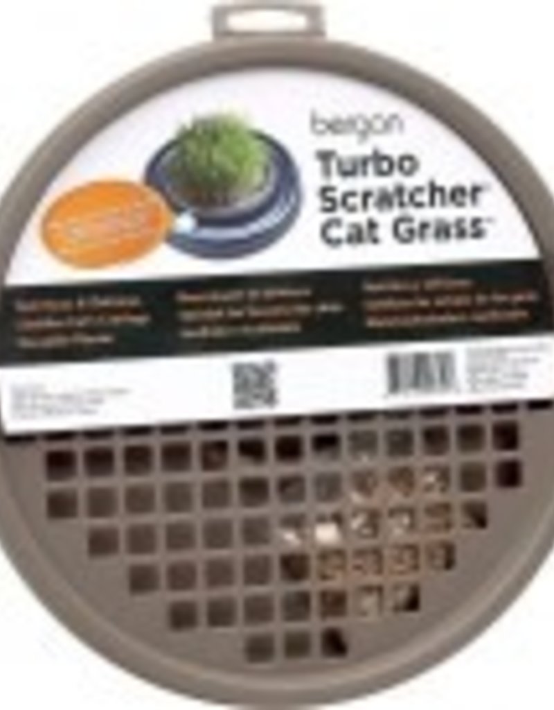 Bergan Turbo Scratcher Cat Grass