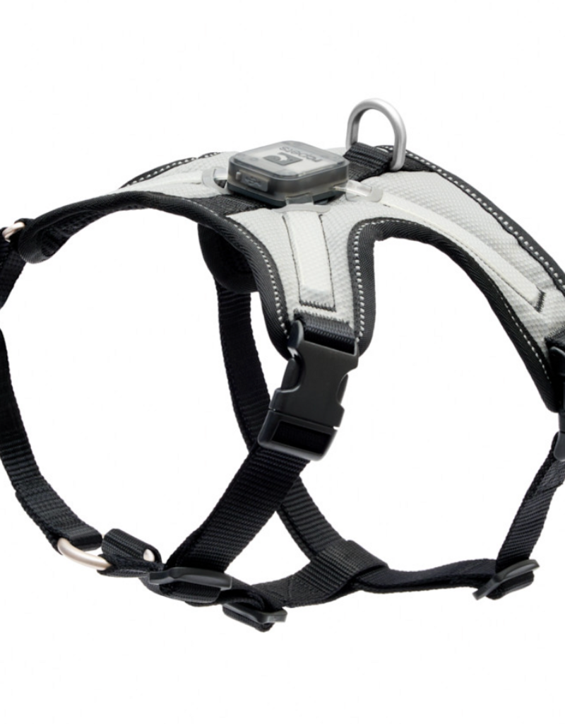 RC Pets RC Pets Nova LED Light Harness M Black/Grey