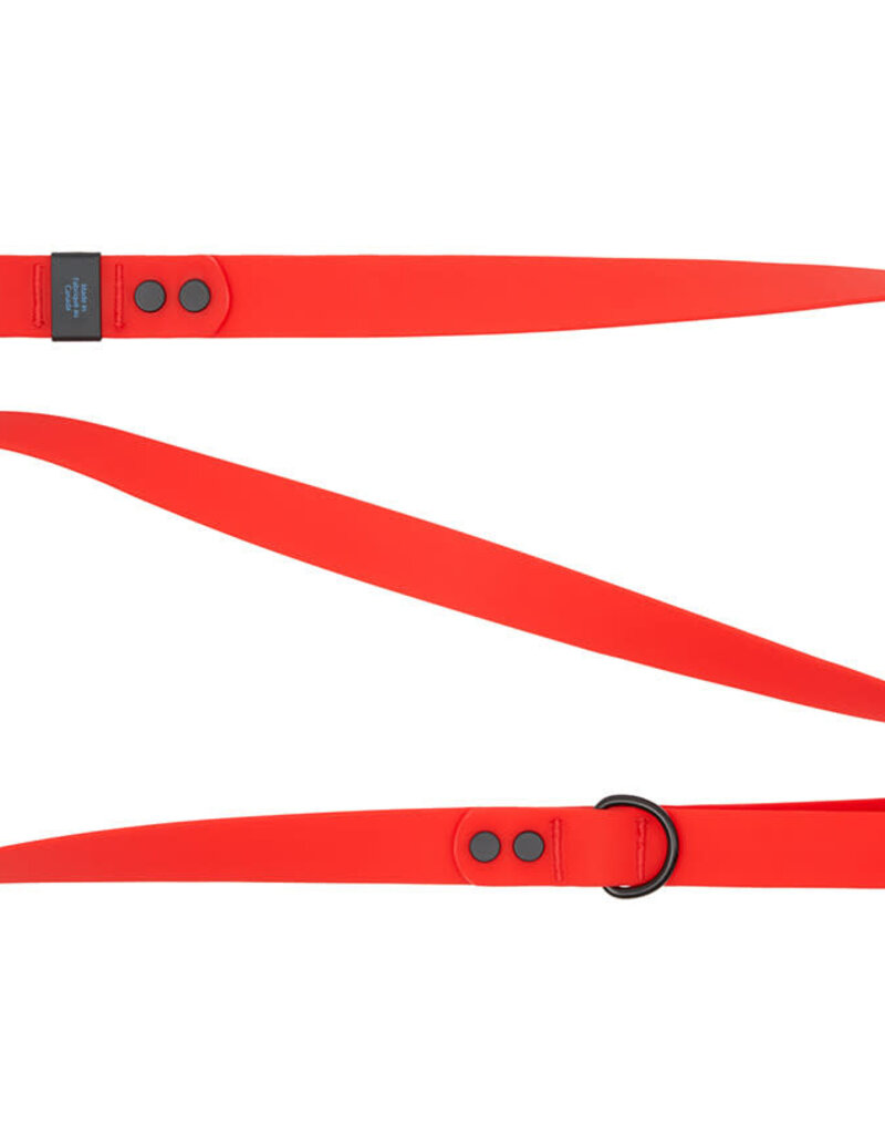 RC Pets RC Pets Waterproof Leash 3/4"x5' Red