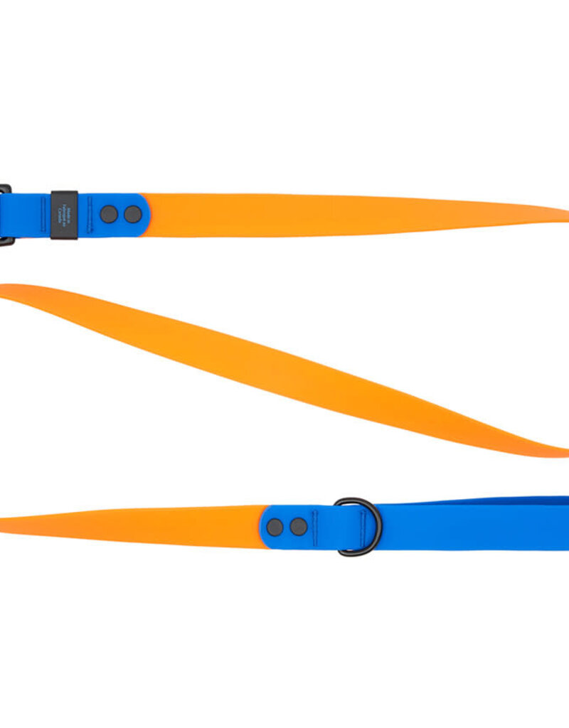 RC Pets RC Pets Waterproof Leash 3/4"x5' Orange/Sapphire