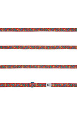 RC Pets RC Pets Petite Leash 1/2"x6' Jurassic Pack