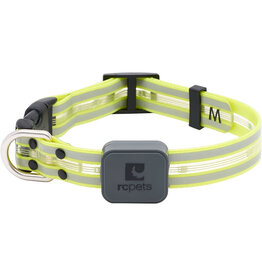 RC Pets RC Pets Nova LED Light Collar M Tennis
