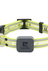 RC Pets RC Pets Nova LED Light Collar L Tennis