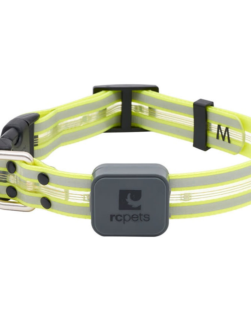 RC Pets RC Pets Nova LED Light Collar L Tennis
