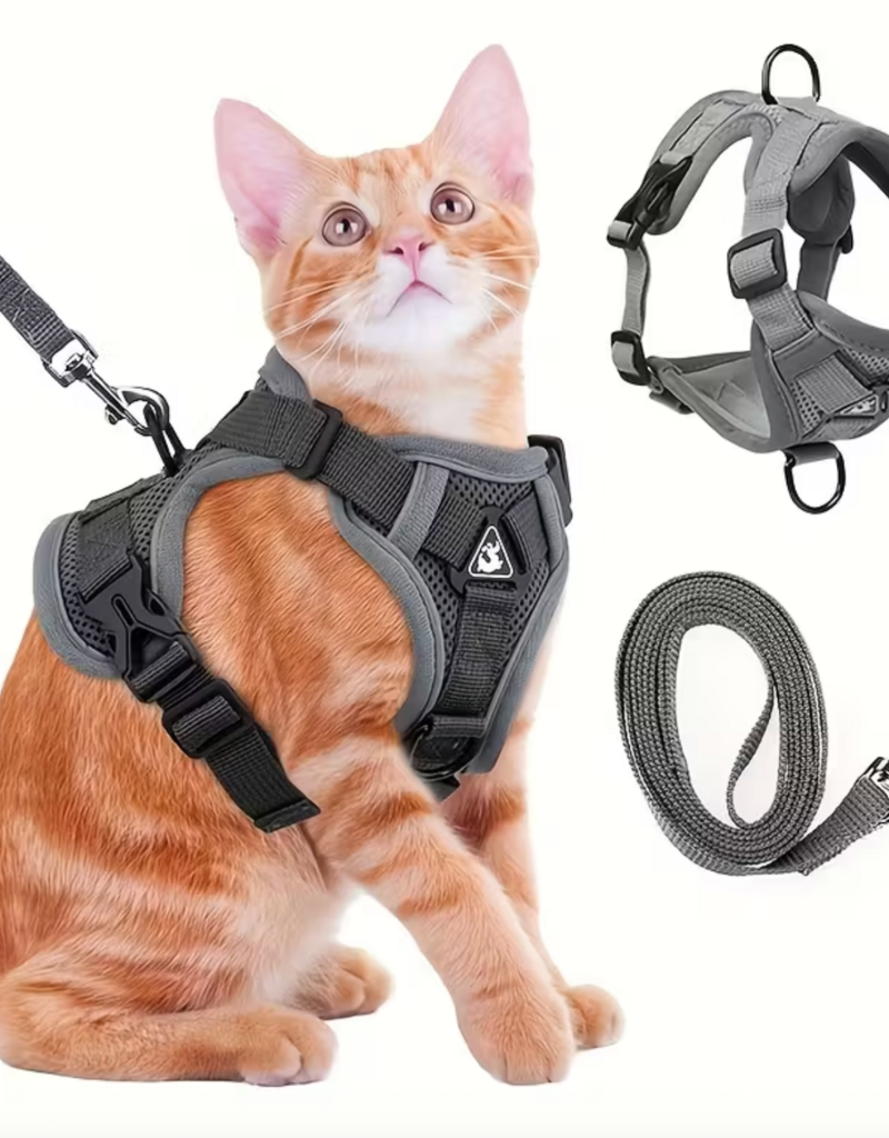 Temu Cat Harness with Leash - Grey - XLarge