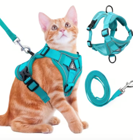 Temu Cat Harness with Leash - Teal - Small