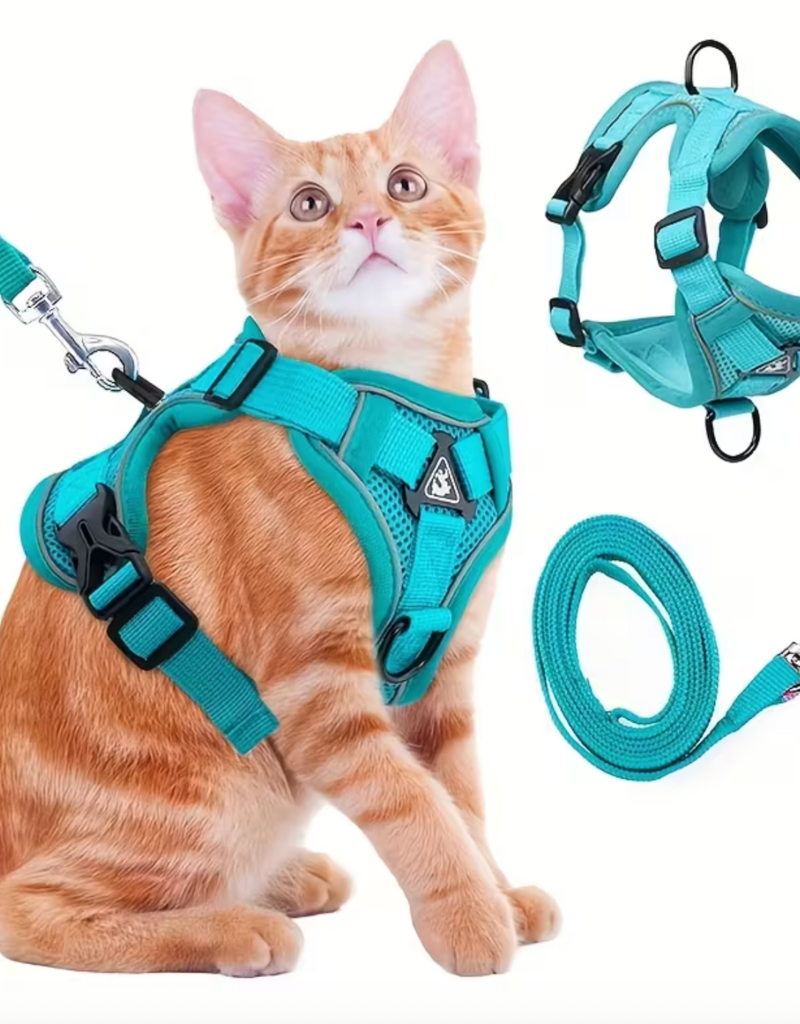 Temu Cat Harness with Leash - Teal - Small