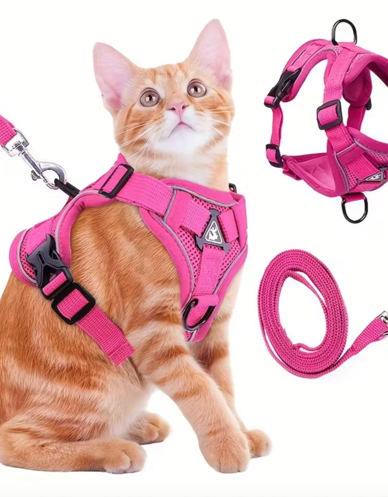 Temu Cat Harness with Leash - Pink - Large