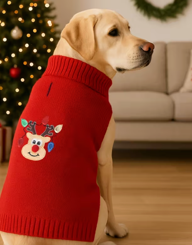 Temu Christmas Sweater - Red with Reindeer - Large