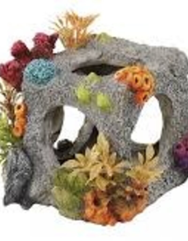 Aqua Della Aqua Della Cube Habitat - Small