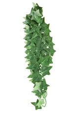 Reptile Treasure Reptile Treasures Ivy Plant - 24in