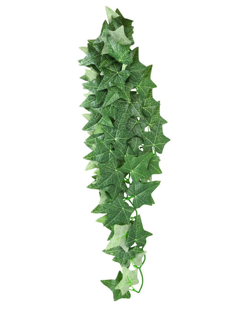 Reptile Treasure Reptile Treasures Ivy Plant - 24in