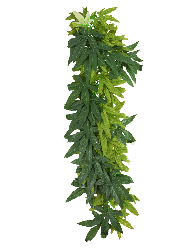 Reptile Treasure Reptile Treasures Leafy Green Plant - 24in
