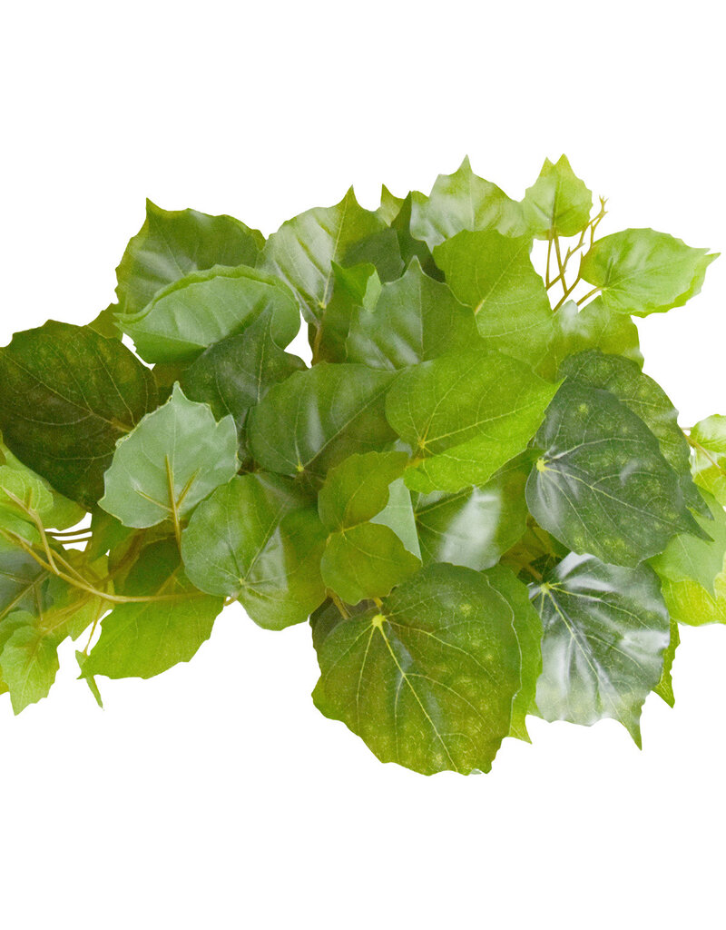 Reptile Treasure Reptile Treasures Pothos Plant - 60in