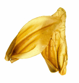 Nature's Own Dog Chews Bulk - XL Beef Ears 1pc.