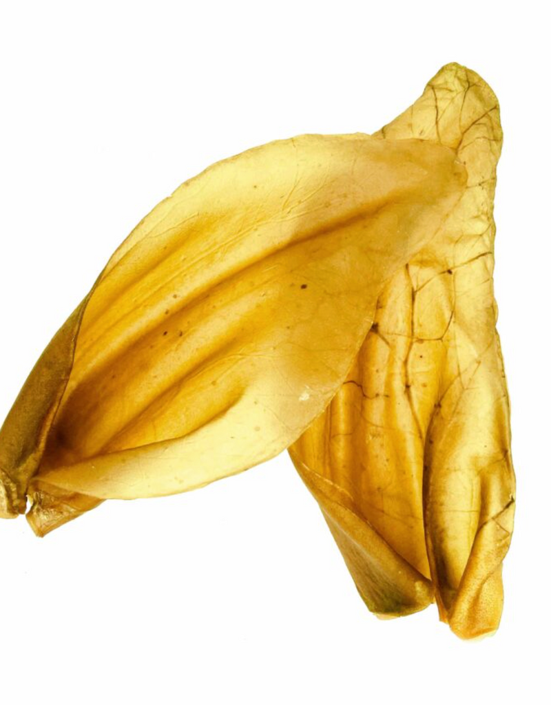 Nature's Own Dog Chews Bulk - XL Beef Ears 1pc.