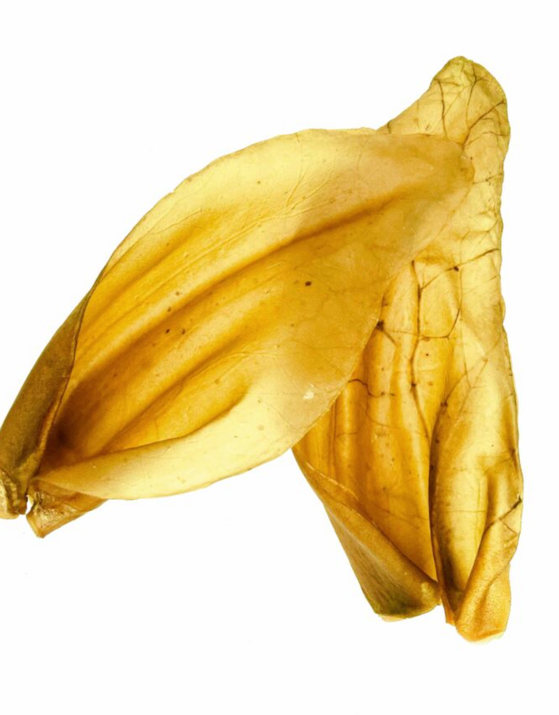 Nature's Own Dog Chews Bulk - XL Beef Ears 1pc.